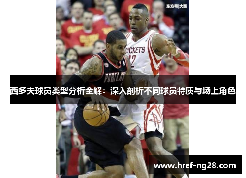 西多夫球员类型分析全解：深入剖析不同球员特质与场上角色